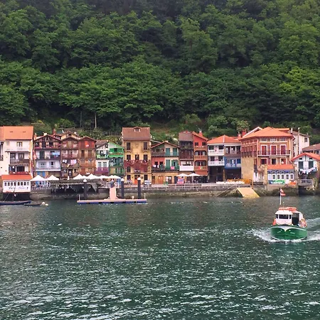 Trueba San Sebastian