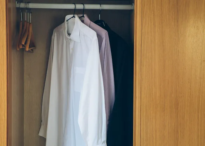 Trueba San Sebastián