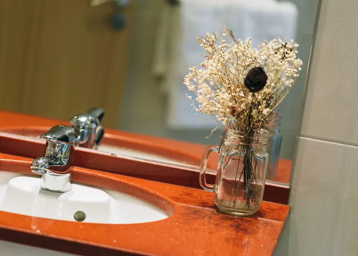 Trueba San Sebastian