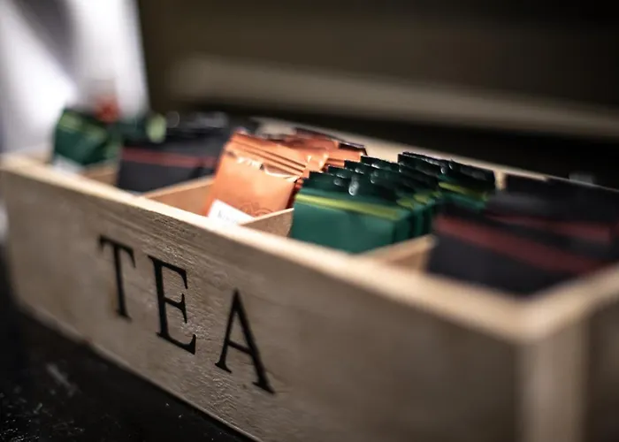 Trueba 2* Saint-Sébastien