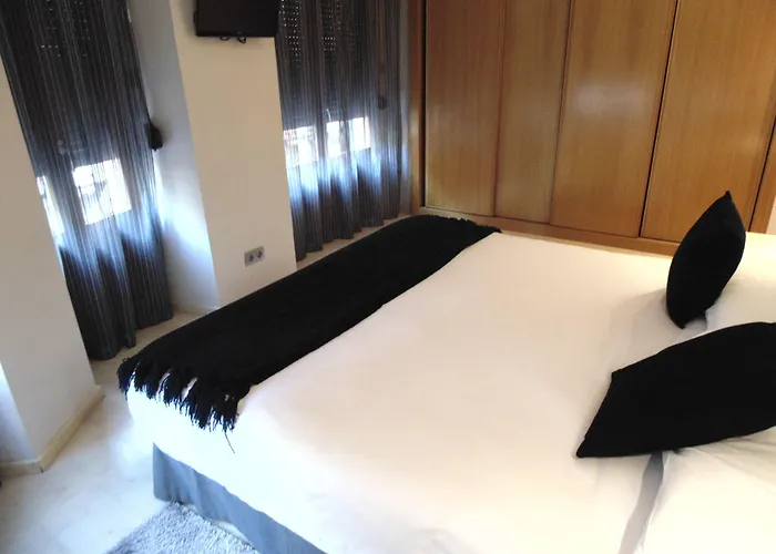 Trueba サン・セバスティアン