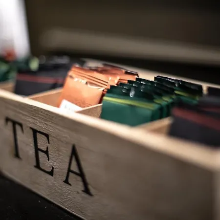 Trueba 2* 圣塞瓦斯蒂安